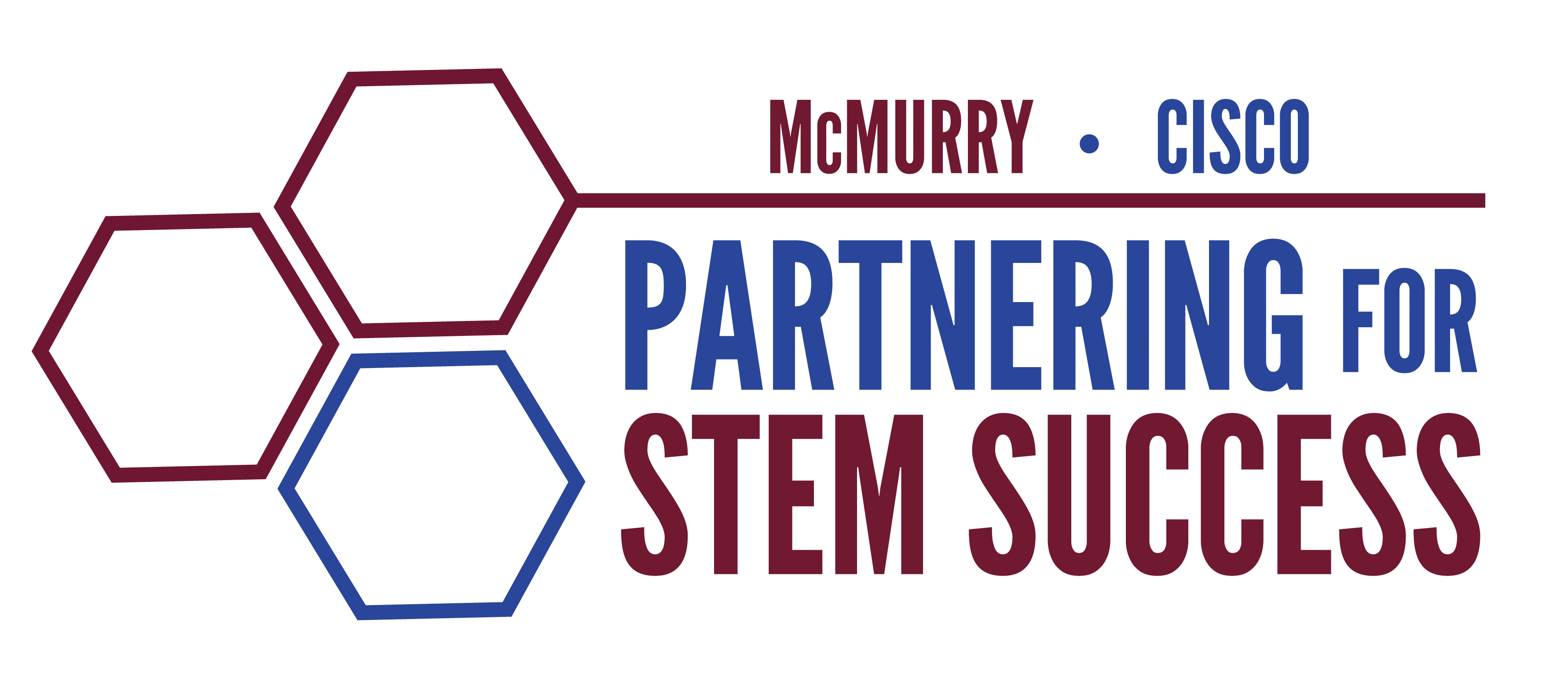 Partnering for STEM Success logo
