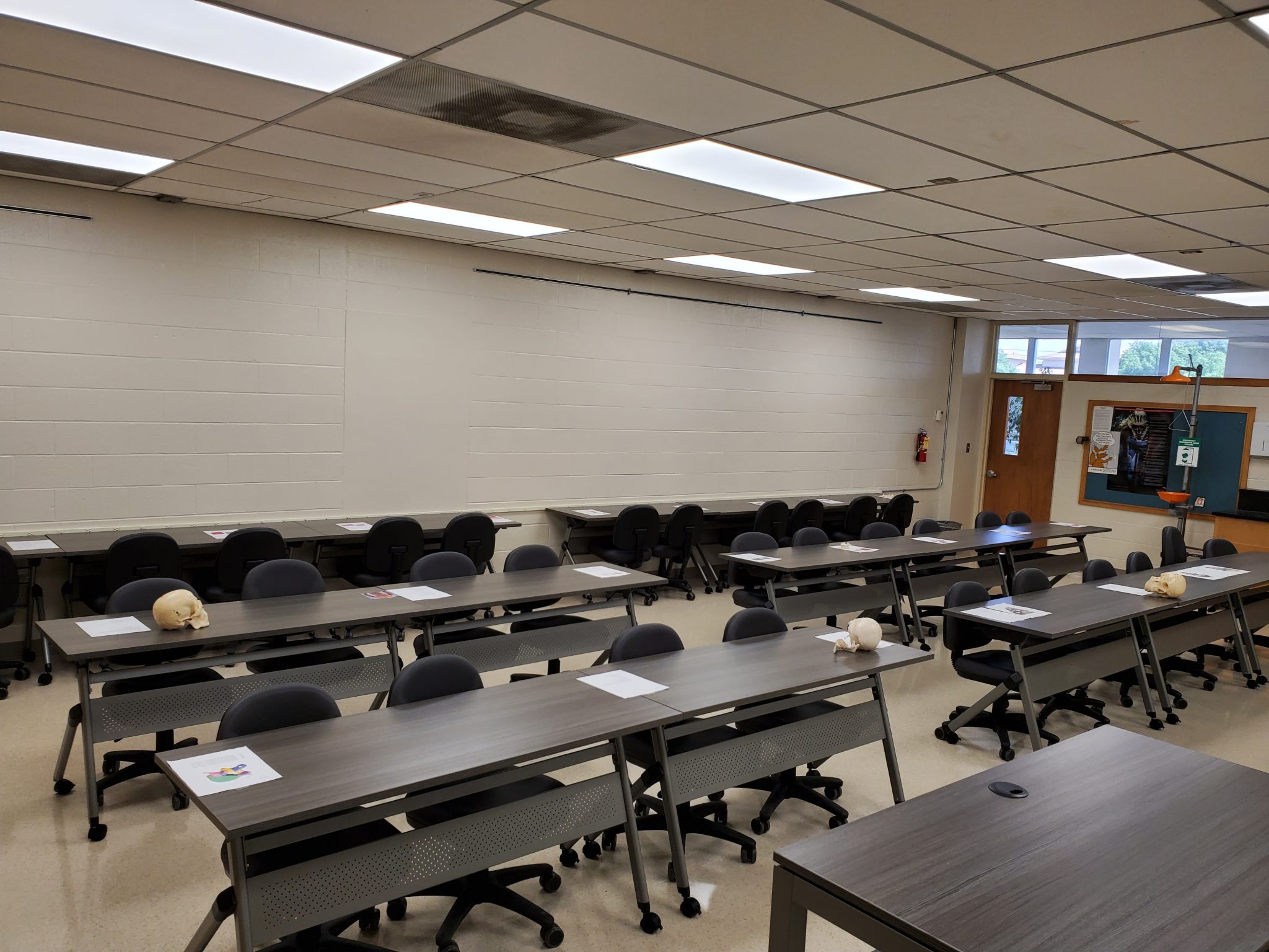 Anatomy Lab Update – STEM success