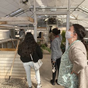 Cisco College students visit the greenhouse